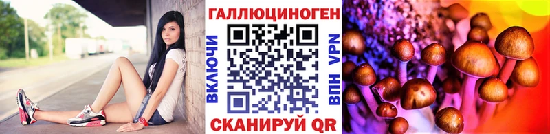 Галлюциногенные грибы Psilocybine cubensis Бирюч